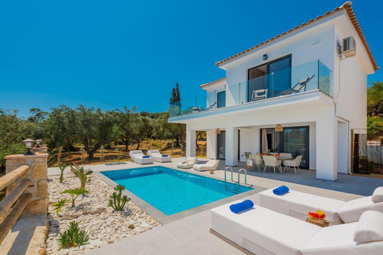 Queen Of Zakynthos Luxury Villas Амуди Экстерьер фото